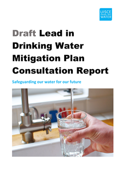 Consultation Report Safeguarding Our Water for Our Future