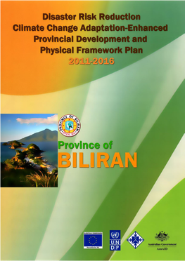 Biliran DRR CCA-Enhanced PDPFP.Pdf