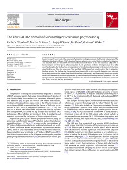 The Unusual UBZ Domain of Saccharomyces Cerevisiae Polymerase Î·