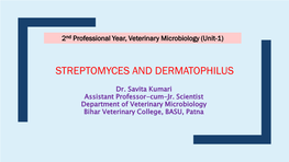 Streptomyces and Dermatophilus