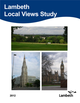 Local Views Study