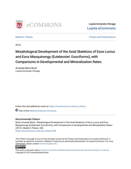 Morphological Development of the Axial Skeletons of Esox Lucius And