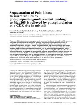 Sequestration of Polo Kinase to Microtubules by Phosphopriming-Independent Binding to Map205 Is Relieved by Phosphorylation at a CDK Site in Mitosis