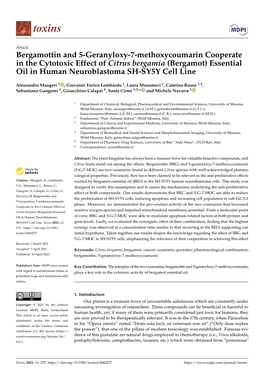 (Bergamot) Essential Oil in Human Neuroblastoma SH-SY5Y Cell Line