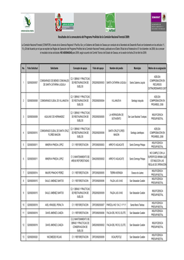 PUBLICACI.N C1, C2 Y C4 2009.Xlsx