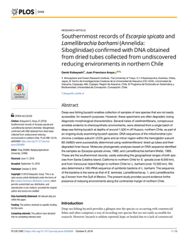 Southernmost Records of Escarpia Spicata and Lamellibrachia Barhami