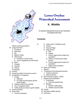 Lower Owyhee Watershed Assessment