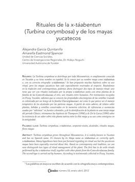 Rituales De La X-Táabentun (Turbina Corymbosa) Y De Los Mayas Yucatecos