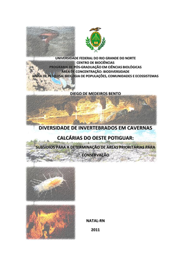 Diversidade De Invertebrados Em Cavernas Calcárias Do Oeste Potiguar
