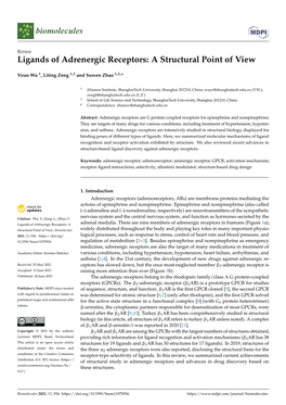 Ligands of Adrenergic Receptors: a Structural Point of View