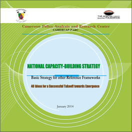 National Capacity-Building Strategy