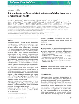 Botryosphaeria Dothidea: a Latent Pathogen of Global Importance to Woody Plant Health