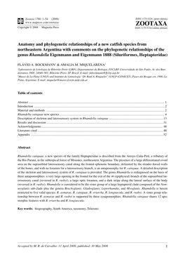 Zootaxa, Anatomy and Phylogenetic Relationships of a New Catfish Species From