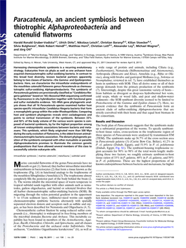 Paracatenula, an Ancient Symbiosis Between Thiotrophic Alphaproteobacteria and Catenulid ﬂatworms