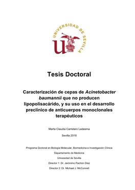 Tesis Doctoral Reducida