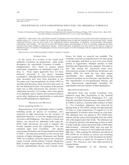 Description of a New Lepidopteran Structure, the Abdominal Tubercles