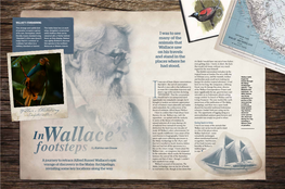 In Wallace's Footsteps