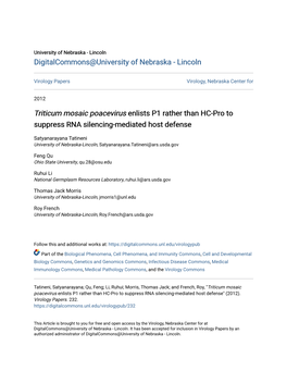 Triticum Mosaic Poacevirus</I> Enlists P1 Rather Than HC-Pro to Suppress