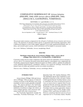 COMPARATIVE MORPHOLOGY of Astraea Latispina (PHILIPPI, 1844) and Astraea Olfersii (PHILIPPI, 1846) (MOLLUSCA, GASTROPODA, TURBINIDAE)