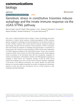 Genotoxic Stress in Constitutive Trisomies Induces Autophagy and the Innate Immune Response Via the Cgas-STING Pathway