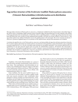 Egg Surface Structure of the Freshwater Toadfish Thalassophryne Amazonica (Teleostei: Batrachoididae) with Information on Its Distribution and Natural Habitat