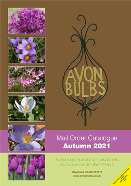 Mail Order Catalogue Autumn 2021