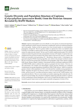 Genetic Diversity and Population Structure of Capirona (Calycophyllum Spruceanum Benth.) from the Peruvian Amazon Revealed by RAPD Markers