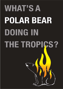 What's a Polar Bear Doing in the Tropics? (2006)