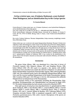 Gattya Wimleni Spec. Nov. (Cnidaria: Hydrozoa), a New Hydroid from Madagascar, and an Identification Key to the Gattya Species