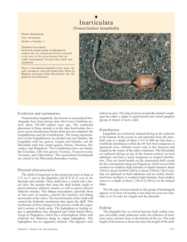 Inarticulata (Nonarticulate Lampshells) Phylum Brachiopoda Class Inarticulata Number of Families 3