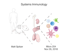 Systems Immunology