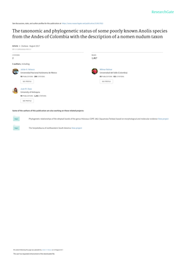 The Taxonomic and Phylogenetic Status of Some Poorly Known Anolis Species from the Andes of Colombia with the Description of a Nomen Nudum Taxon