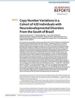 Copy Number Variations in a Cohort of 420 Individuals with Neurodevelopmental Disorders from the South of Brazil