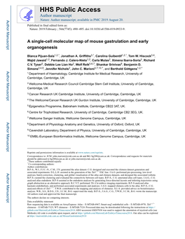 A Single-Cell Molecular Map of Mouse Gastrulation and Early Organogenesis