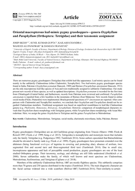 Oriental Macropterous Leaf-Mimic Pygmy Grasshoppers—Genera Oxyphyllum and Paraphyllum (Orthoptera: Tetrigidae) and Their Taxonomic Assignment