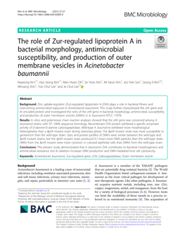 The Role of Zur-Regulated Lipoprotein a in Bacterial Morphology