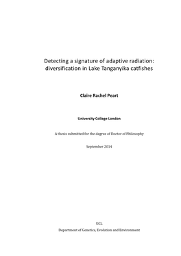 Detecting a Signature of Adaptive Radiation: Diversification in Lake Tanganyika Catfishes