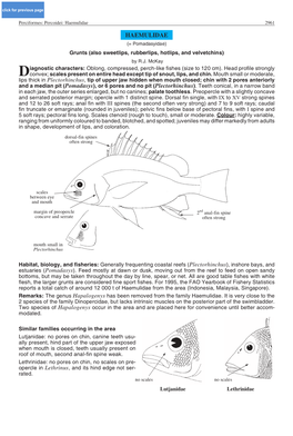 Haemulidae 2961