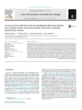 A Novel Sucrose Hydrolase from the Bombycoid Silkworms Bombyx Mori, Trilocha Varians, and Samia Cynthia Ricini with a Substrate Speciﬁcity for Sucrose