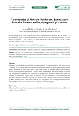 A New Species of Thinouia (Paullinieae, Sapindaceae) from the Amazon and Its Phylogenetic Placement