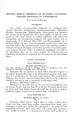 Benthic Marine Amphipoda of Southern California: Families Tironidae to Gammaridae