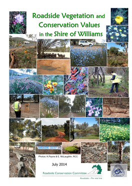 Shire of Williams Technical Report 201413.39 MB