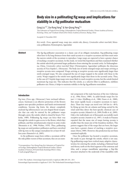 Body Size in a Pollinating Fig Wasp and Implications for Stability in A