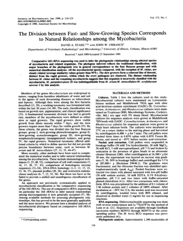 The Division Between Fast- and Slow-Growing Species Corresponds to Natural Relationships Among the Mycobacteria DAVID A