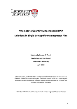 Attempts to Quantify Mitochondrial DNA Deletions in Single Drosophila Melanogaster Flies