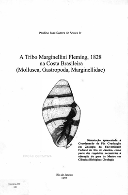 Mollusca, Gastropoda, Marginellidae)