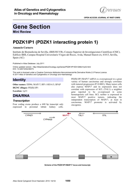 Gene Section Mini Review