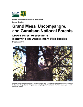 Grand Mesa, Uncompahgre, and Gunnison National Forests, Draft Assessments