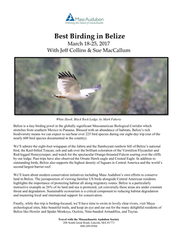 Best Birding in Belize March 18-25, 2017 with Jeff Collins & Sue Maccallum