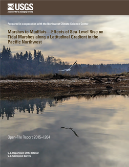 Marshes to Mudflats—Effects of Sea-Level Rise on Tidal Marshes Along a Latitudinal Gradient in the Pacific Northwest